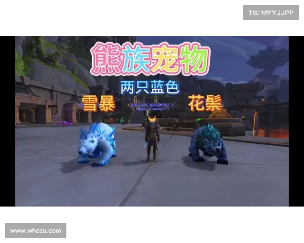 魔兽世界宠物伤害:如何实现最高设置中心